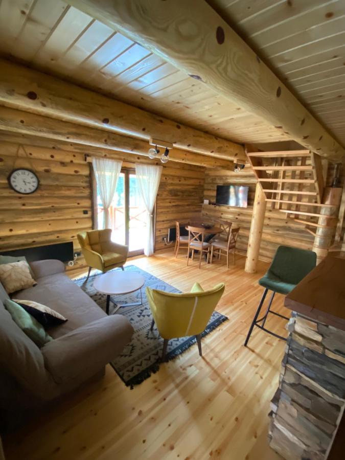 Brvnare Park Borova Villa Zlatibor Ngoại thất bức ảnh